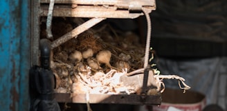 A pile of dried garlic bulbs with tangled roots is stored on a metal shelf. The lighting casts shadows and highlights parts of the garlic, suggesting an old, rustic environment.