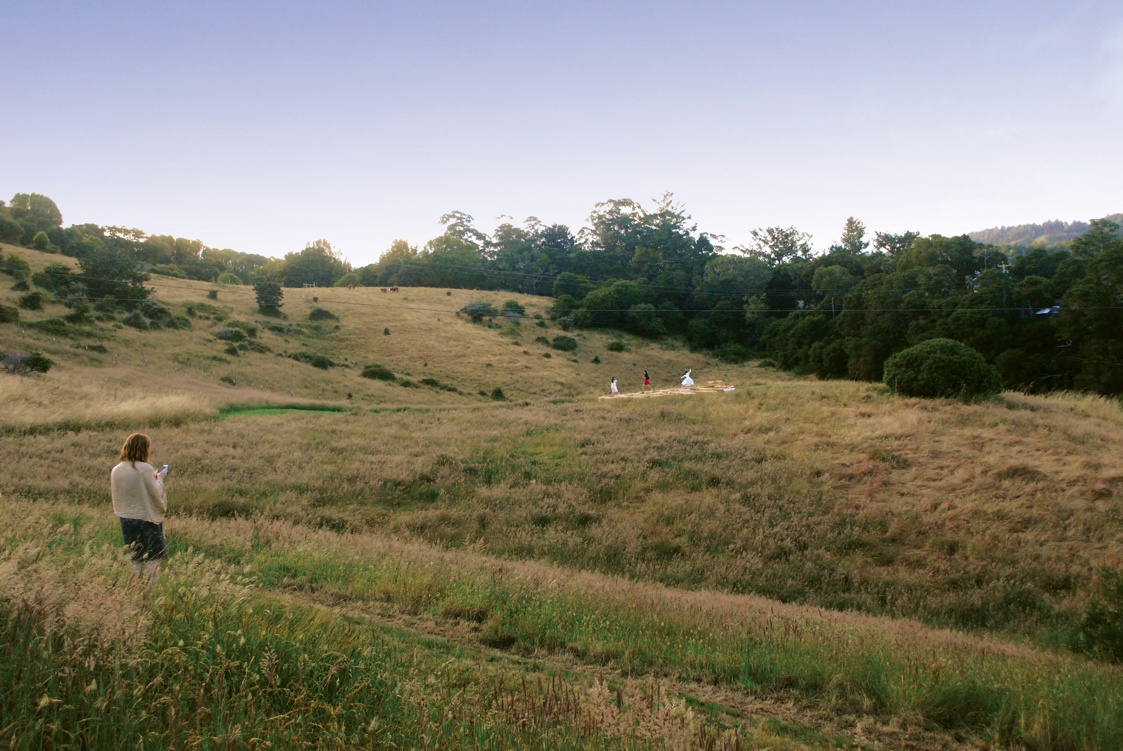 Free Unsplash photo from Mauricio Feldman-Abe