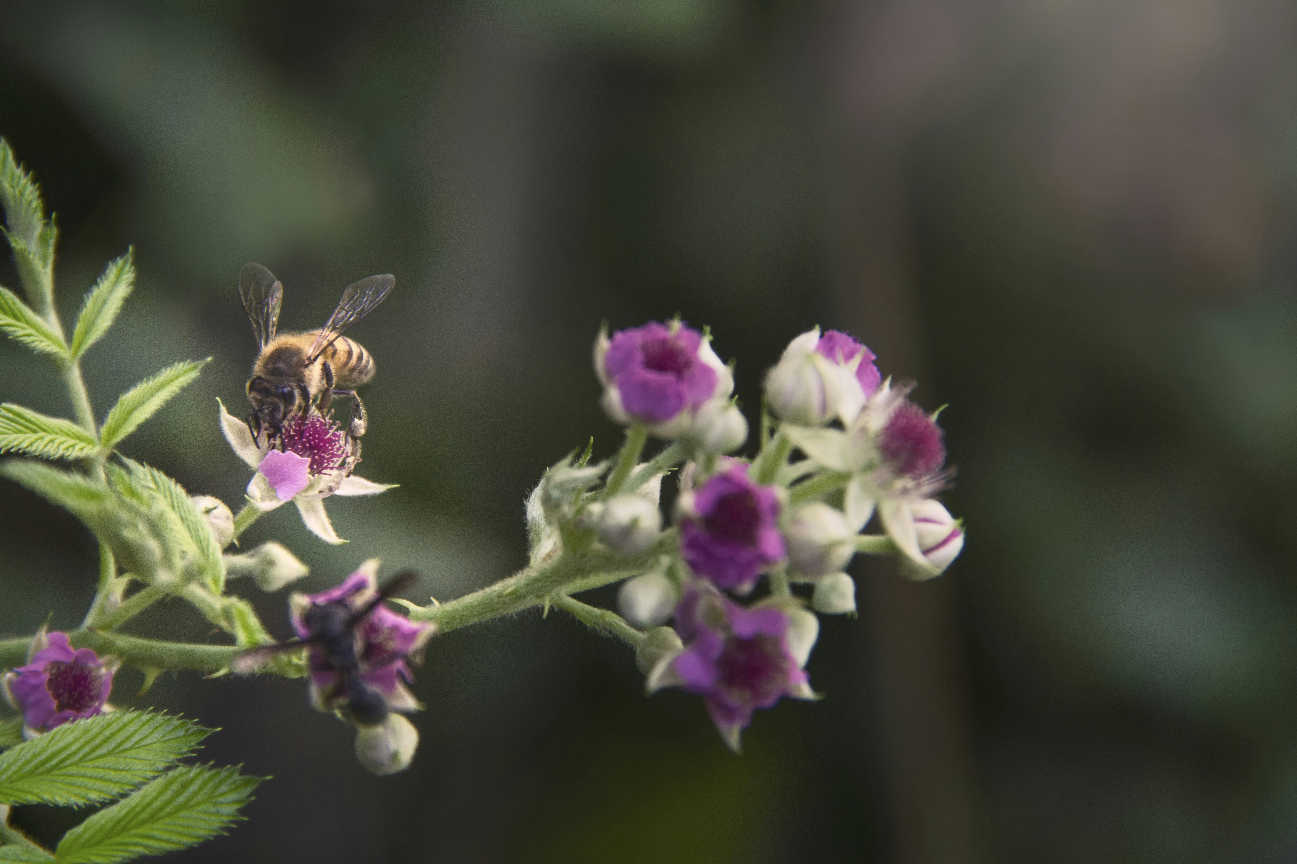 Free Unsplash photo from Eduardo Jaeger