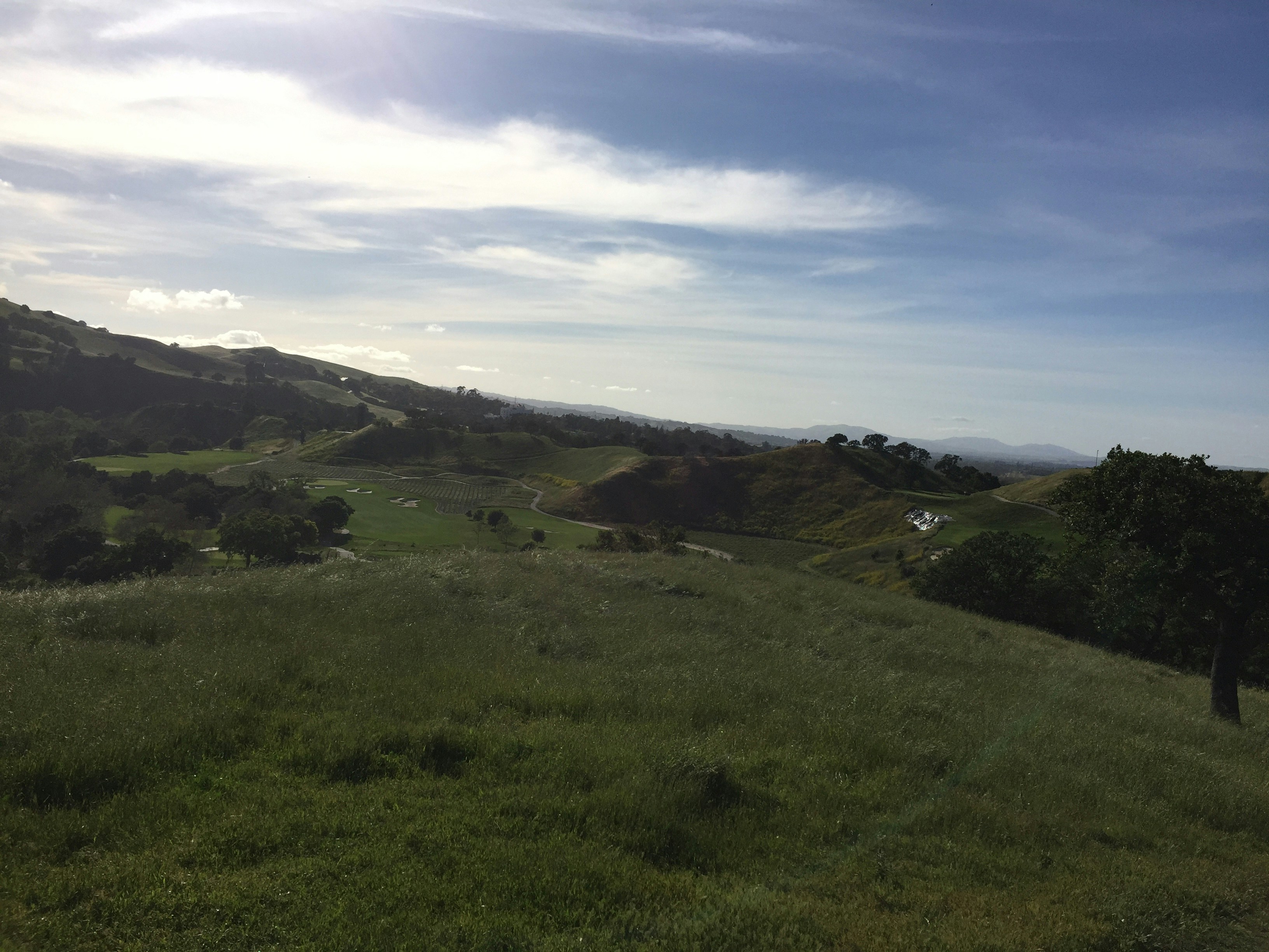 Free Unsplash photo from Samantha Leggat