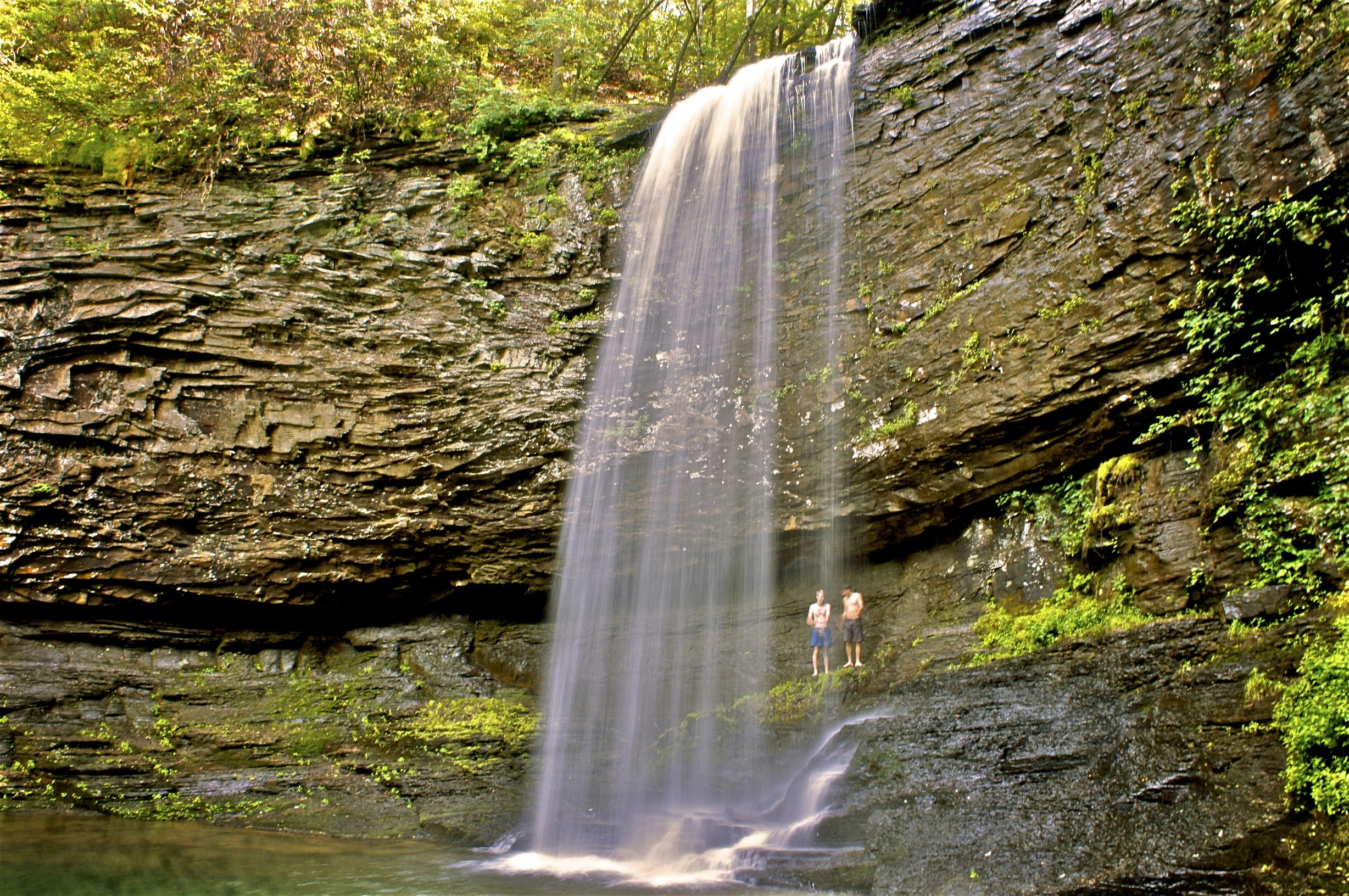 Free Unsplash photo from Andrew Jenkins