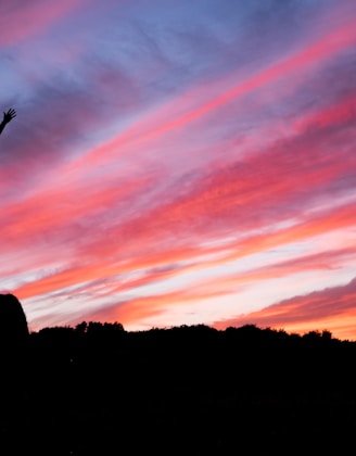 silhouette of man standing on high ground under red and blue skies