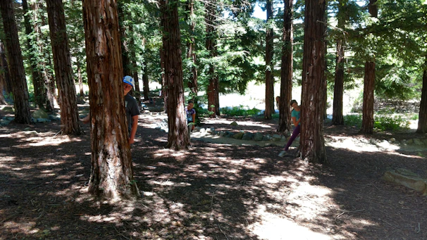 Children and adults playing laser tag in a lush green forest with sunlight filtering through the trees.
