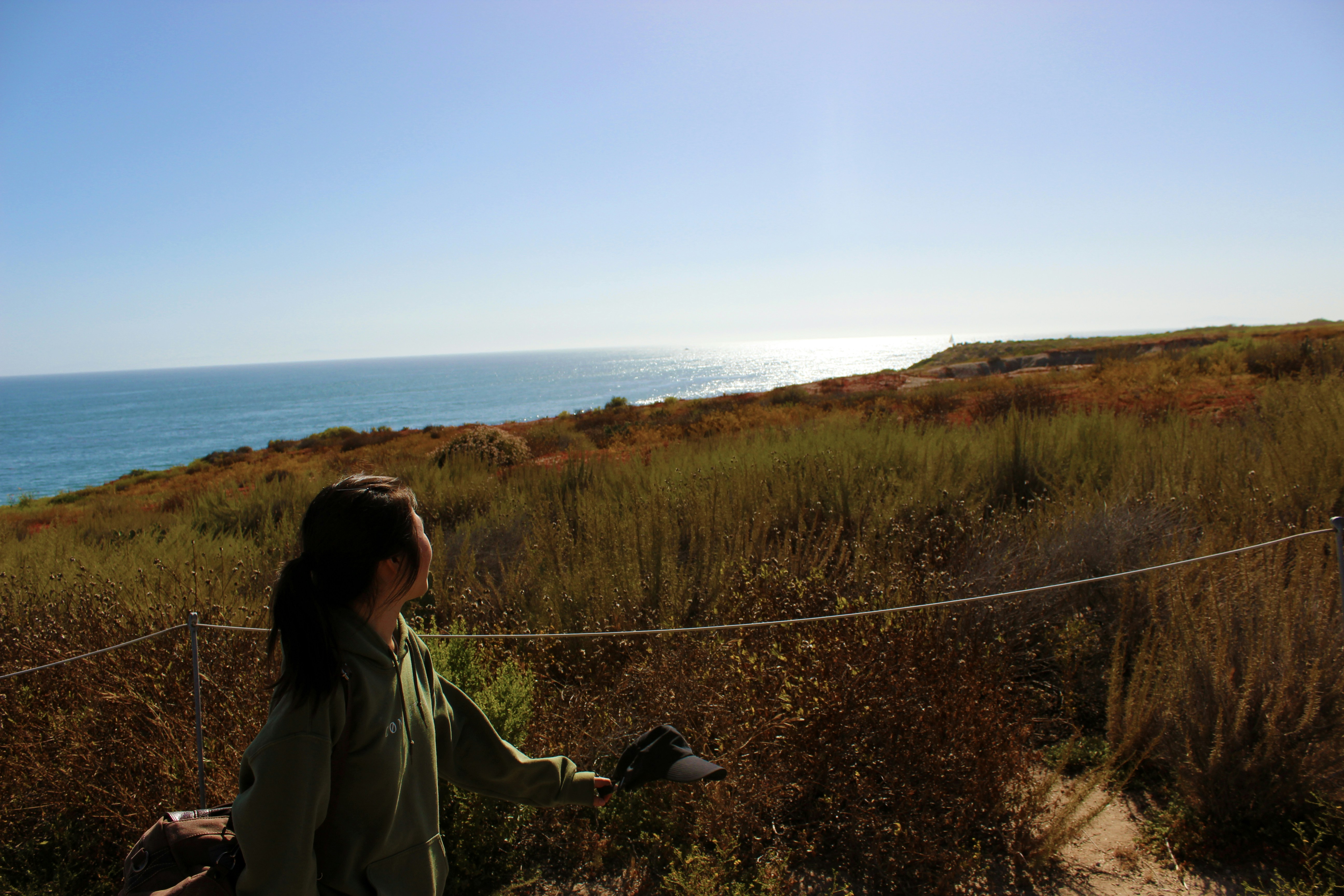 Free Unsplash photo from Daniel Lee