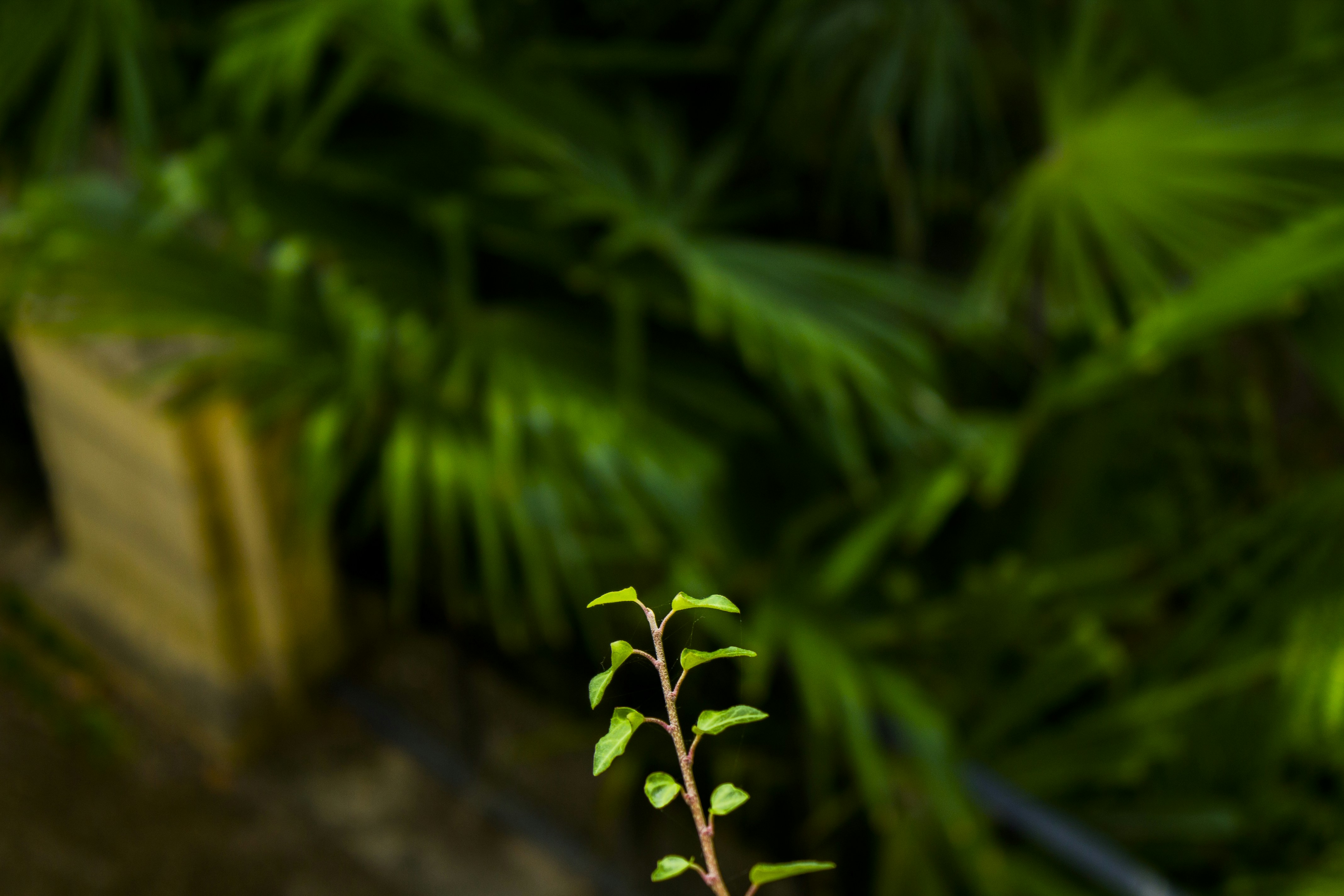 Free Unsplash photo from Ana Oliveira