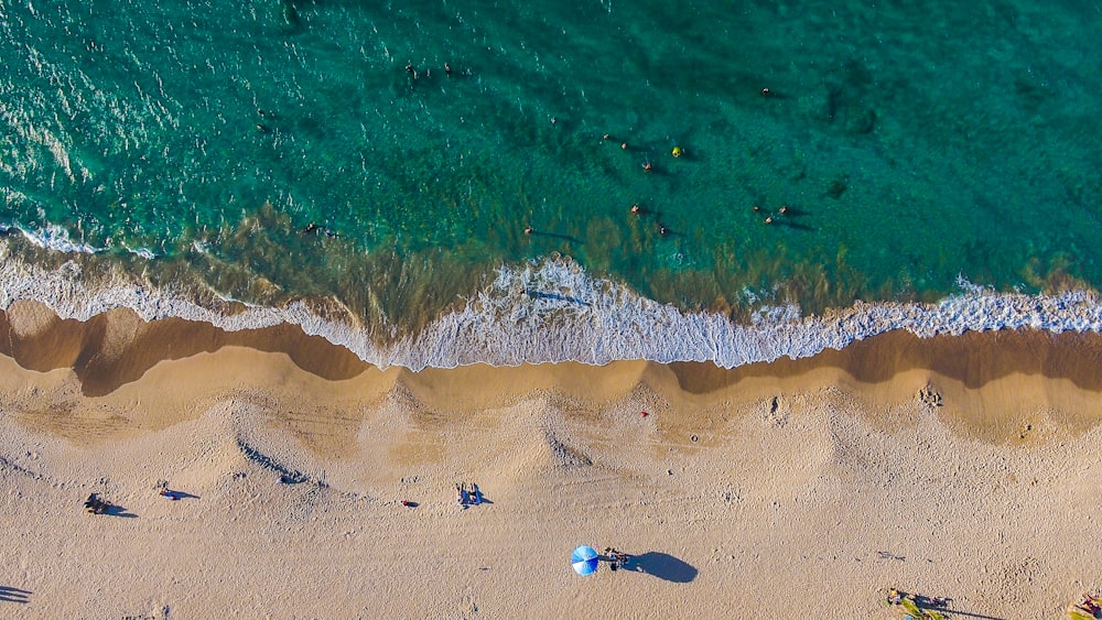 fotografia aerea di una persona che cammina vicino alla riva del mare durante il giorno