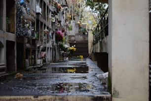 A narrow alley in a cemetery is lined with flower-adorned niches. The ground is wet, reflecting some of the colorful flowers. There are steps leading upward at the end, surrounded by greenery and overcast light.