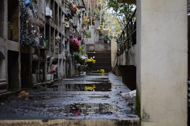 A narrow alley in a cemetery is lined with flower-adorned niches. The ground is wet, reflecting some of the colorful flowers. There are steps leading upward at the end, surrounded by greenery and overcast light.