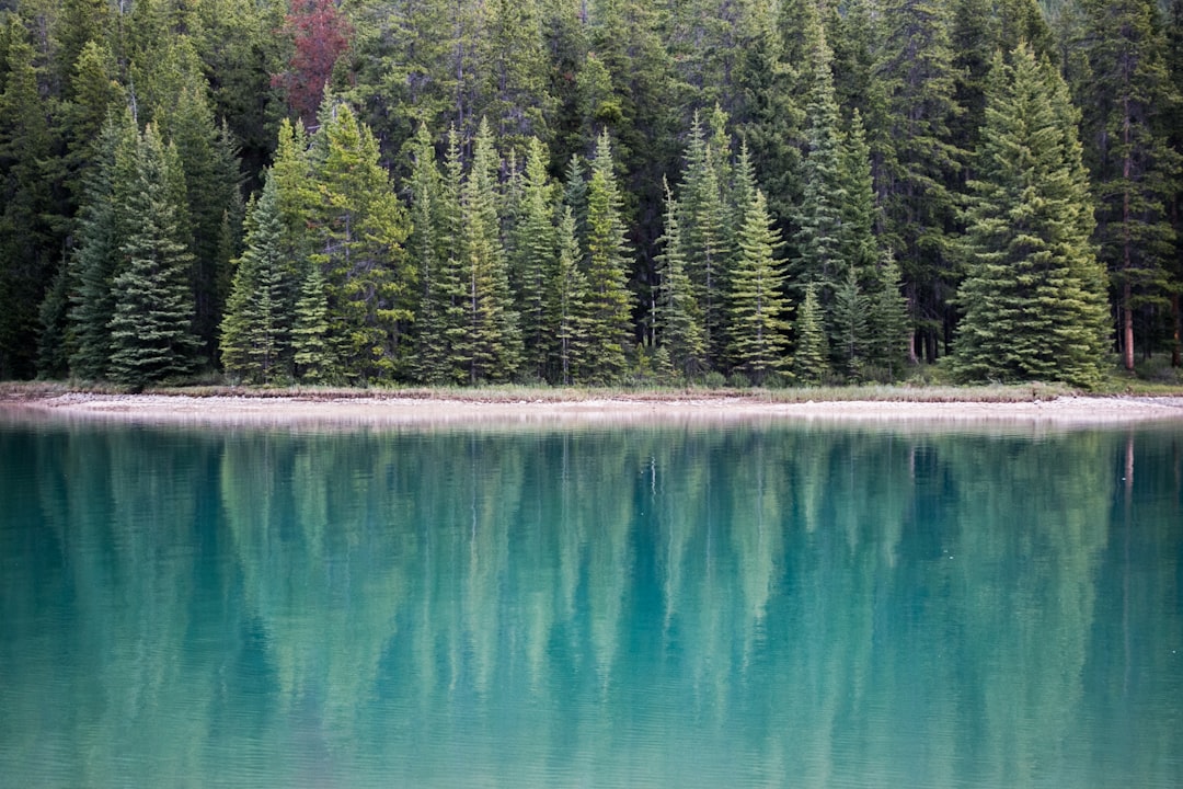 Nature reserve photo spot Two Jack Lakeside Campground Moraine Lake