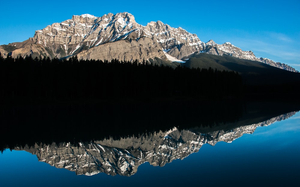 specchio d'acqua, foresta e montagna durante il giorno