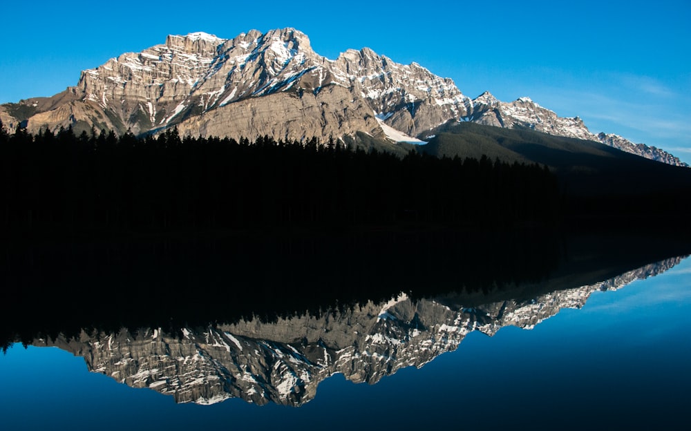 cuerpo de agua, bosque y montaña durante el día