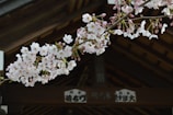 A close-up of a beautifully detailed handmade wooden sign with cherry blossom accents.