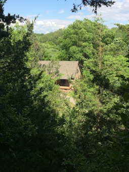 A house with a gabled roof nestled among dense, lush green trees and foliage, with a clearing visible around the structure. The scene depicts a tranquil setting surrounded by nature under a partly cloudy sky.
