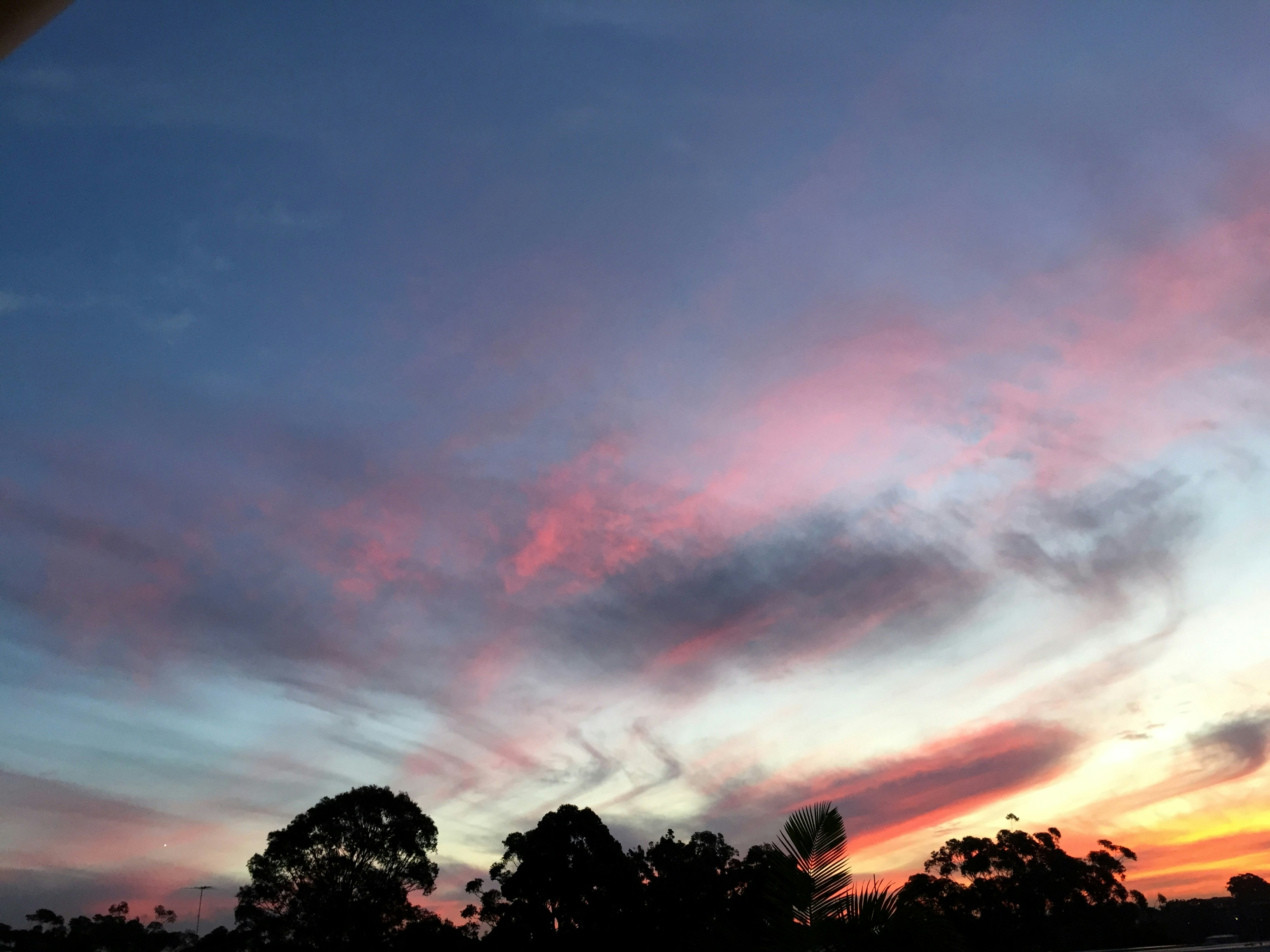 Free Unsplash photo from Aria H