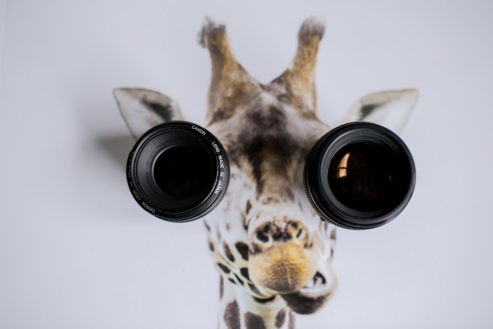 two black camera lenses on giraffe painting