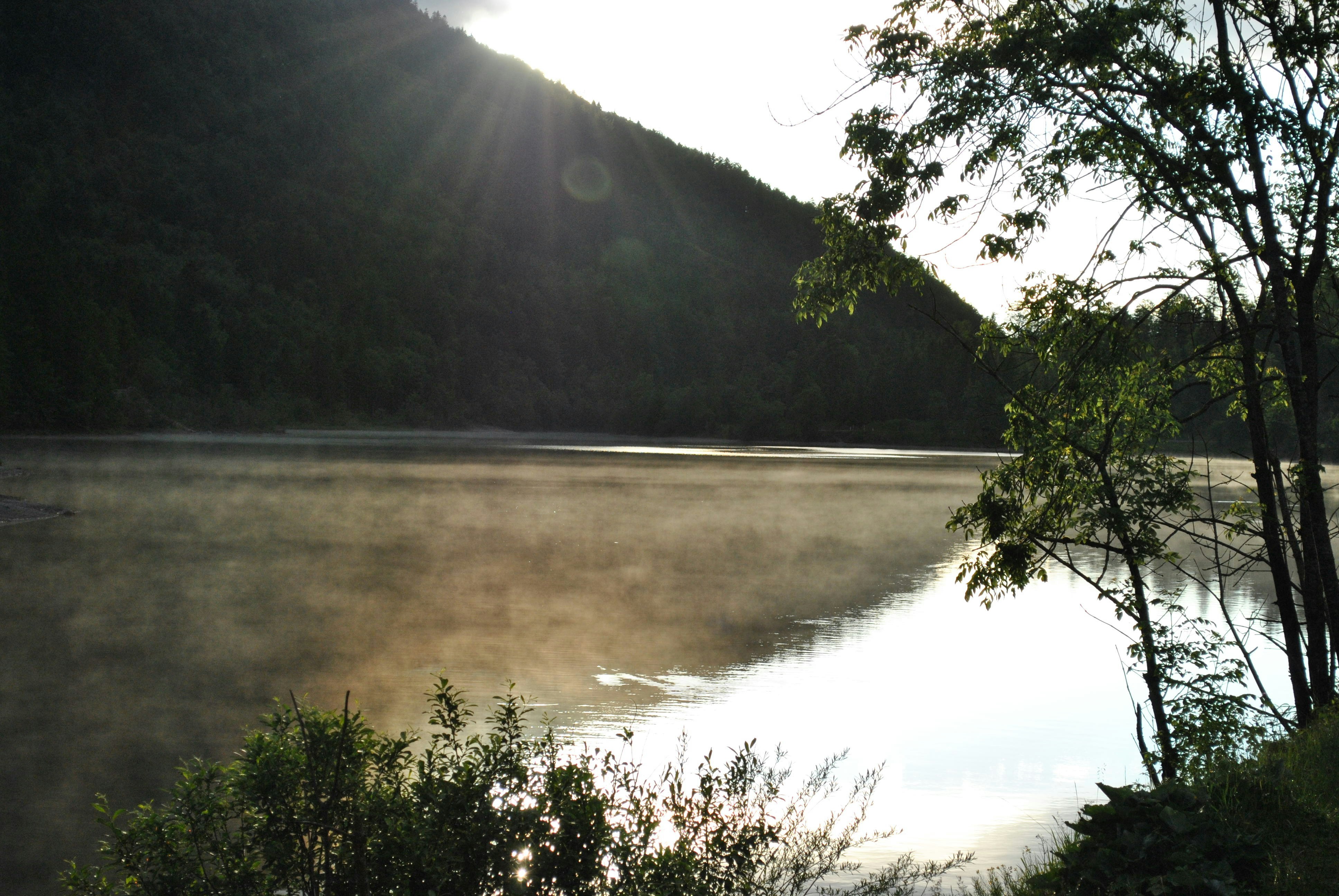 Free Unsplash photo from AnneKath D