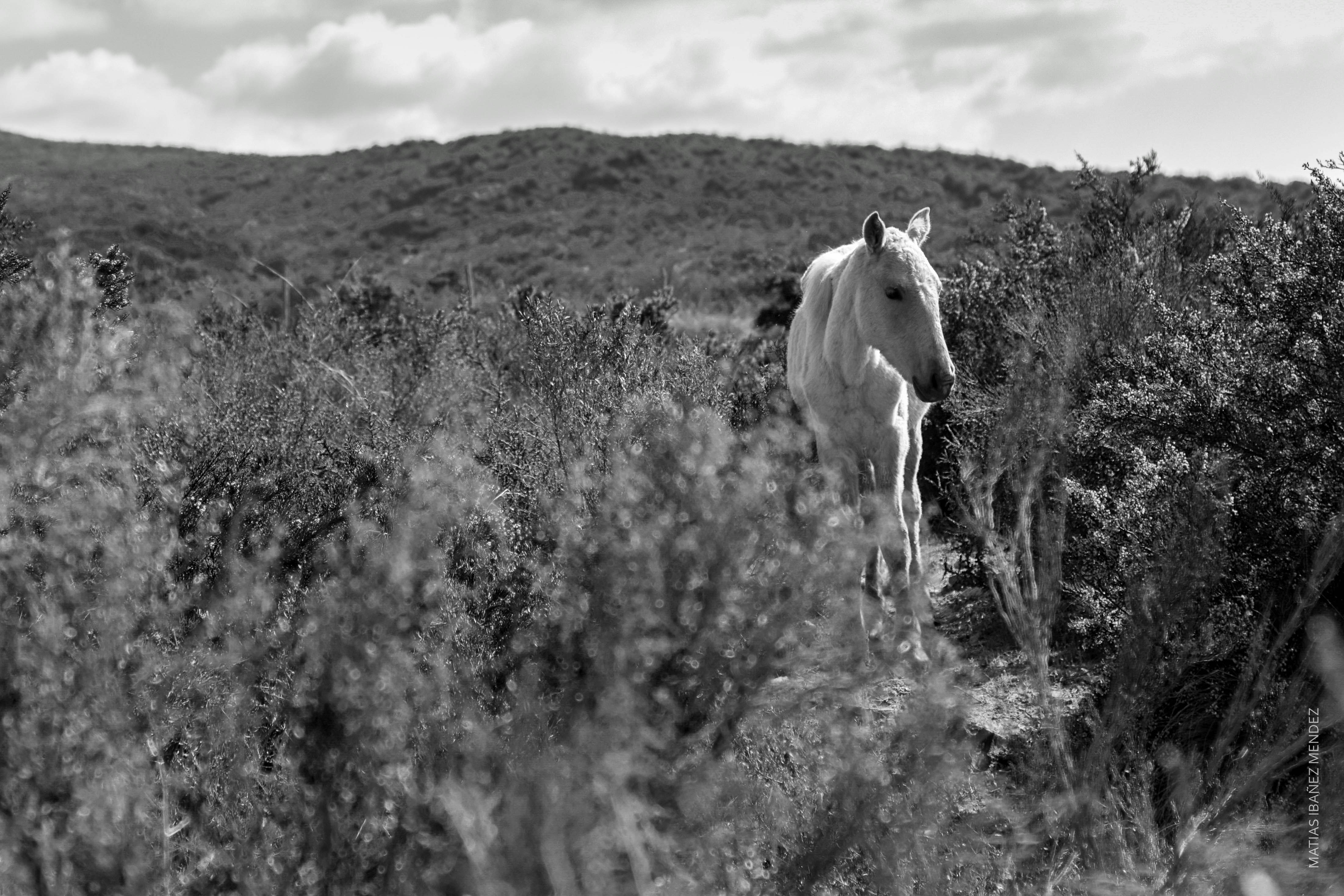 Free Unsplash photo from Mati Ibañez