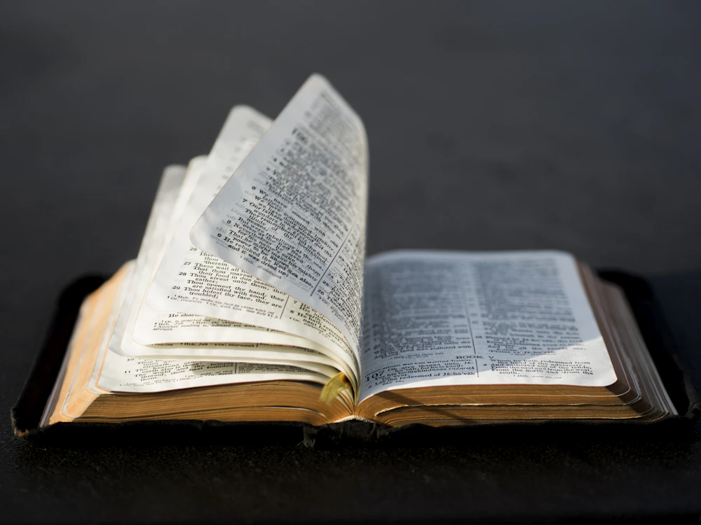 An open Bible resting on a surface, bathed in warm natural light