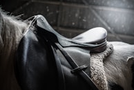 A close-up of a black leather saddle on a white horse, showing detailed textures and stitches. The dimly lit setting suggests an indoor area, possibly a stable, with light filtering through a high window or opening.