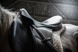 Close-up of premium leather horse saddle with detailed stitching in a rustic stable setting.