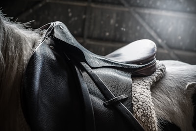 horse with black leather saddle