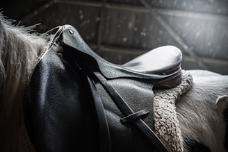 A close-up of a horse wearing a beautifully crafted saddle in a natural outdoor setting