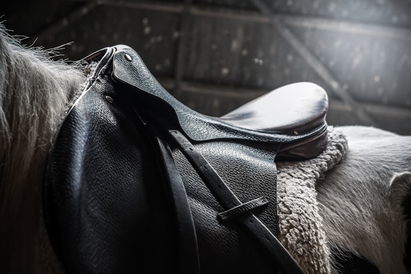 Saddle
