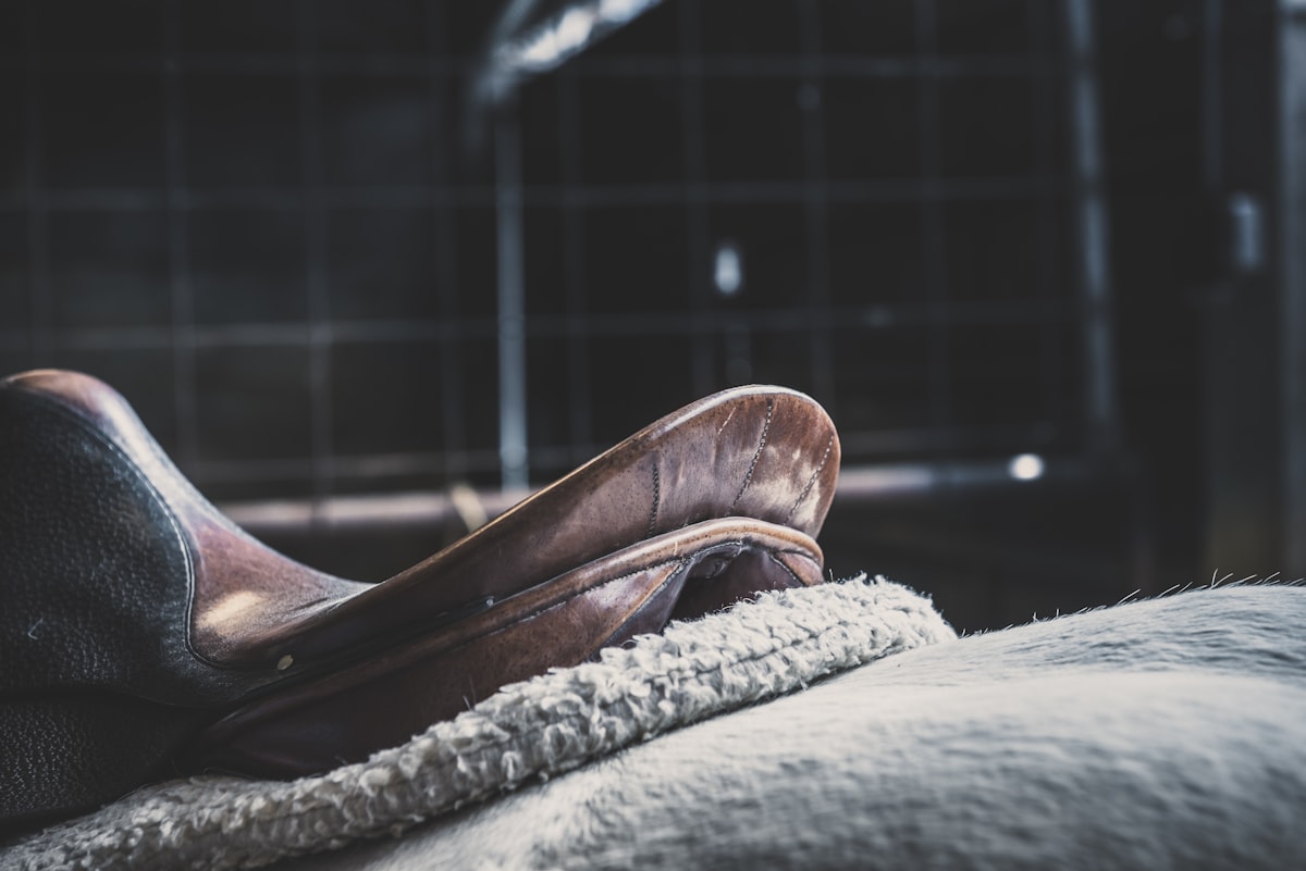 How to Choose the Right Saddle: A Complete Guide for Every Discipline