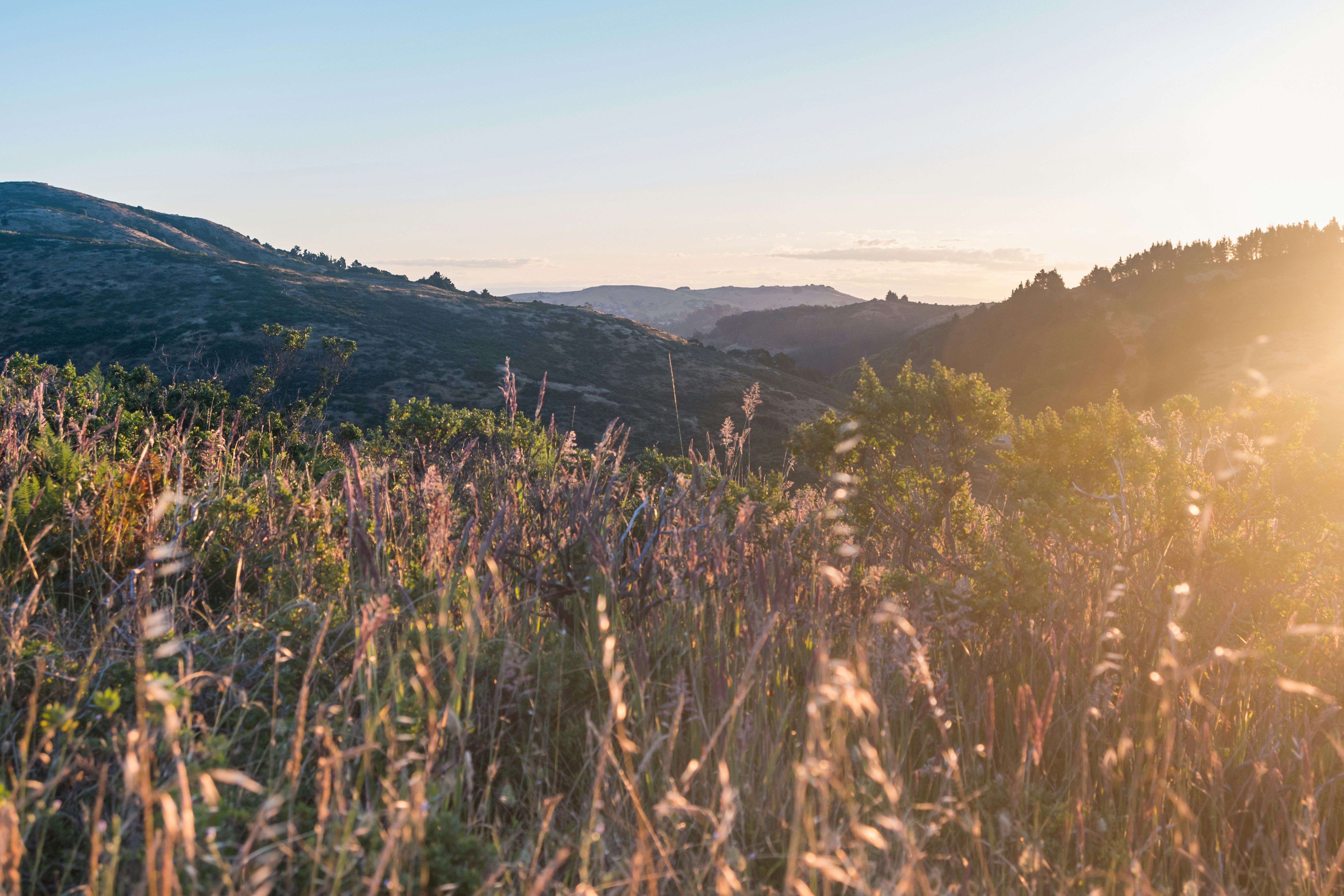 Free Unsplash photo from Matt McLean