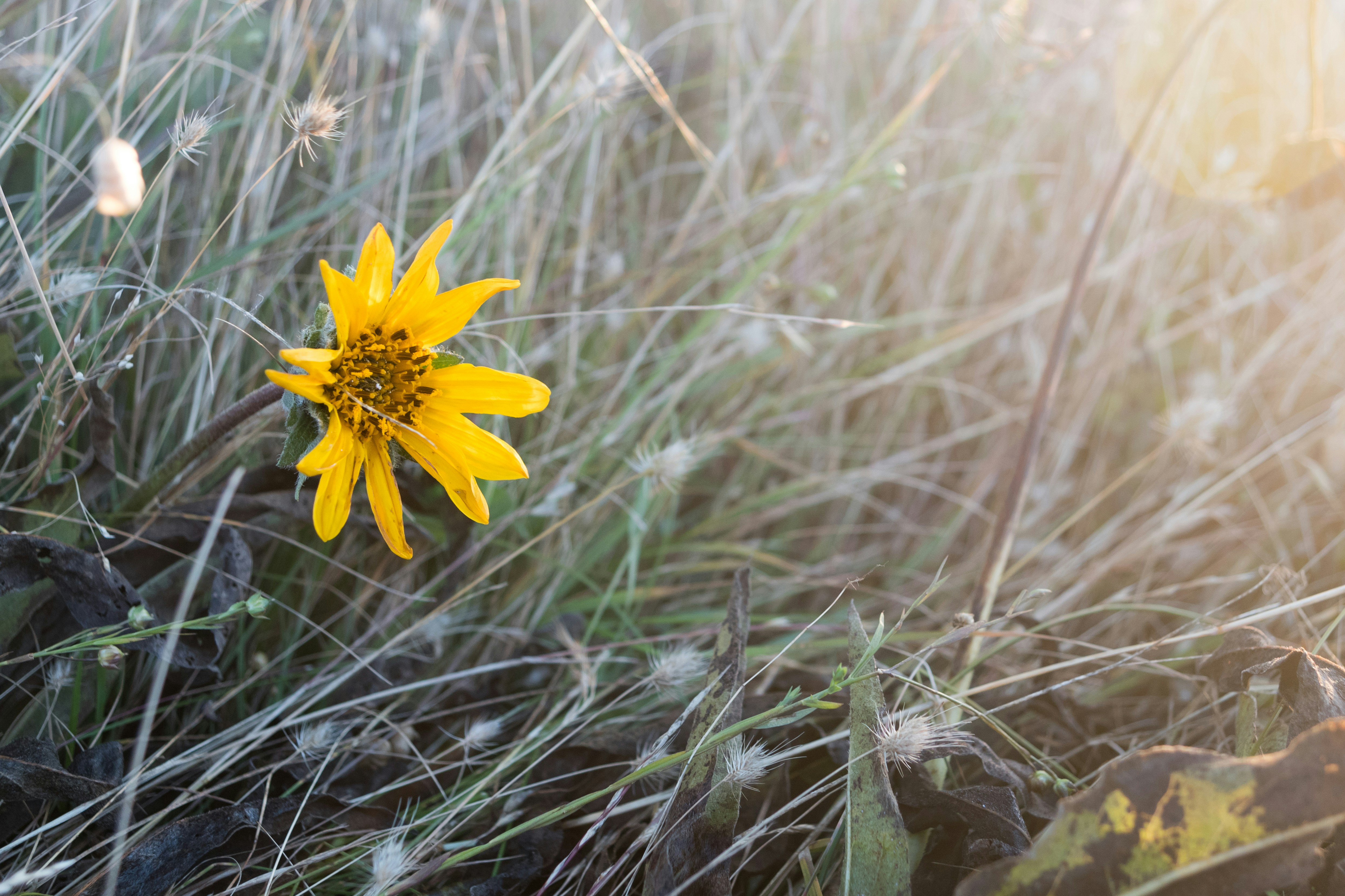 Free Unsplash photo from Matt McLean