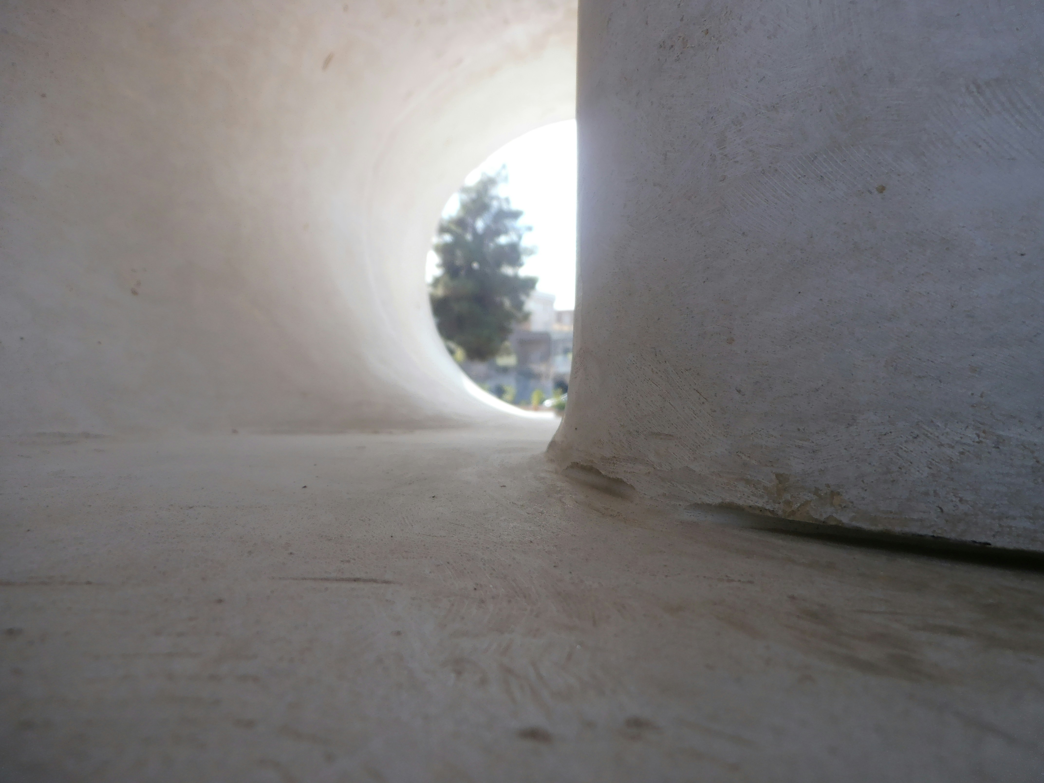 Free Unsplash photo from Amir Mobasheri