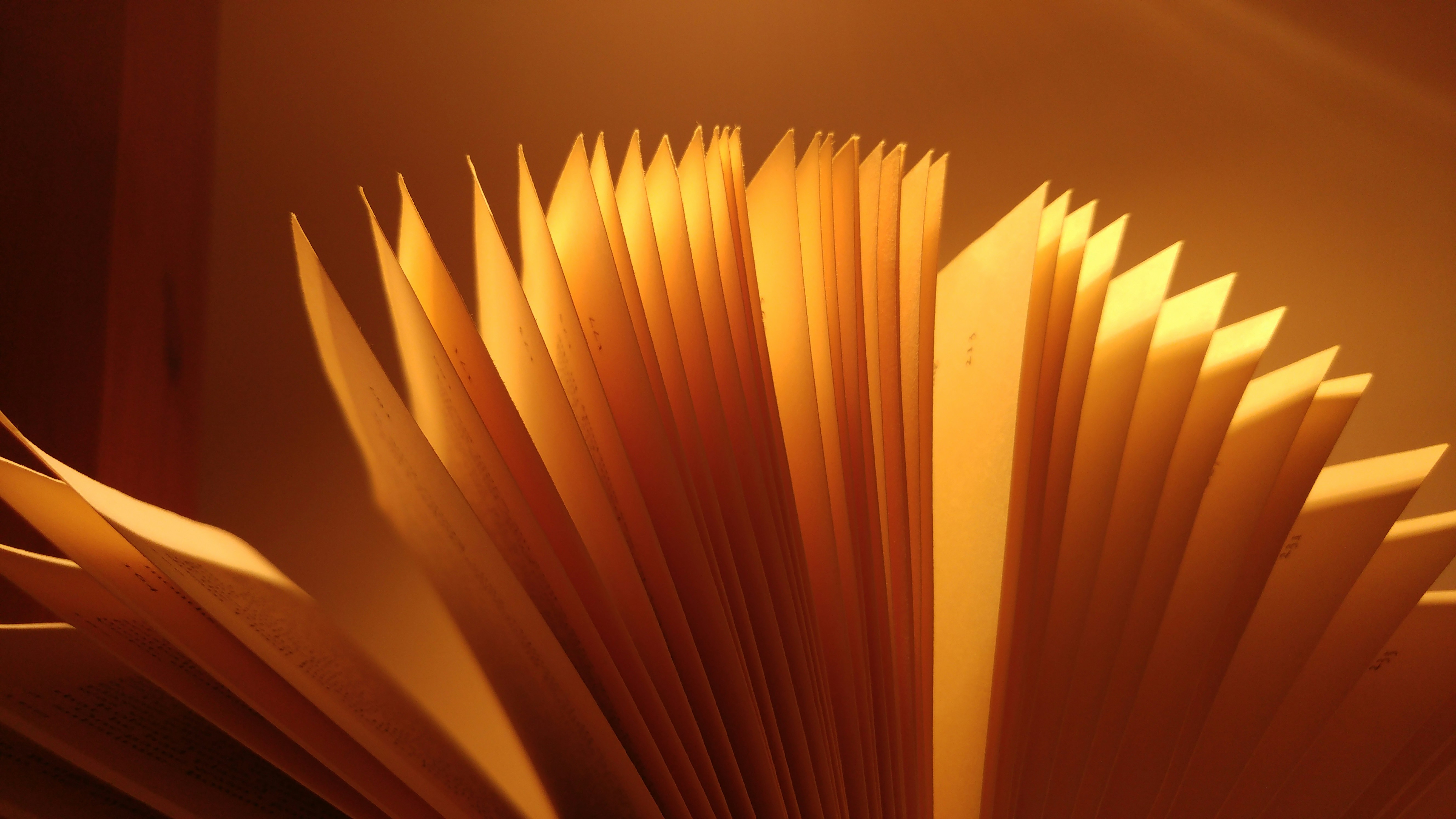 photo 1497637282568 e5020dedb934?ixlib=rb 4.0