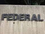 The image displays the word 'FEDERAL' in large, bold, three-dimensional letters affixed to a textured concrete wall. The surface of the wall is rough, with visible pebbles and indentations. Above the letters, parts of leafy tree branches are visible.