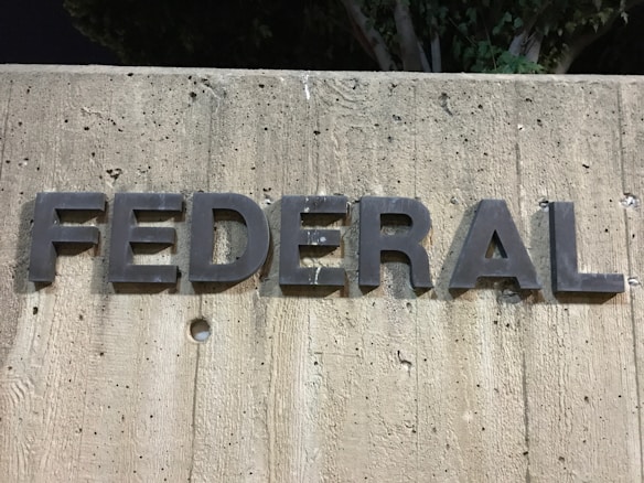 The image displays the word 'FEDERAL' in large, bold, three-dimensional letters affixed to a textured concrete wall. The surface of the wall is rough, with visible pebbles and indentations. Above the letters, parts of leafy tree branches are visible.