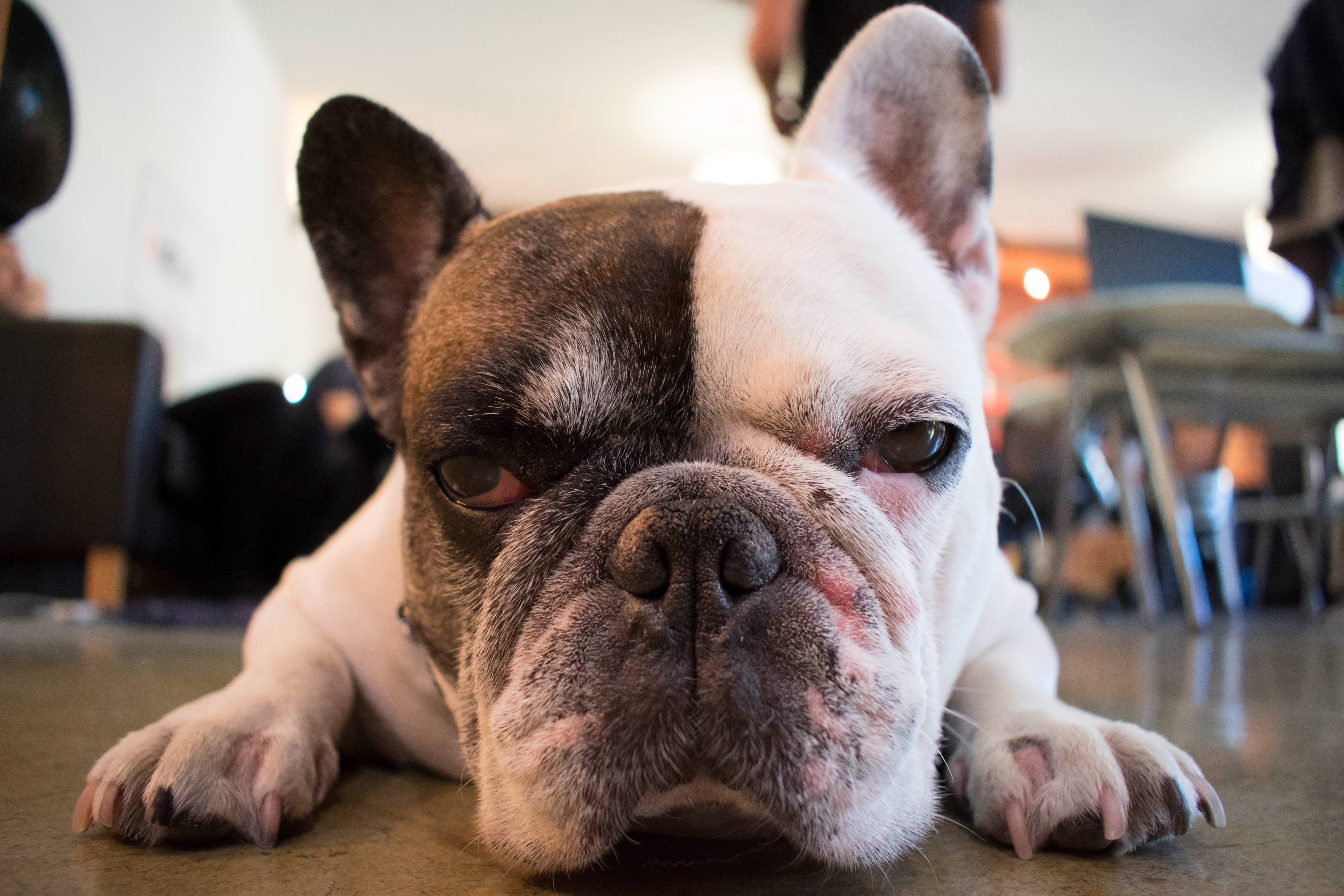 Free Unsplash photo from Garret DePass