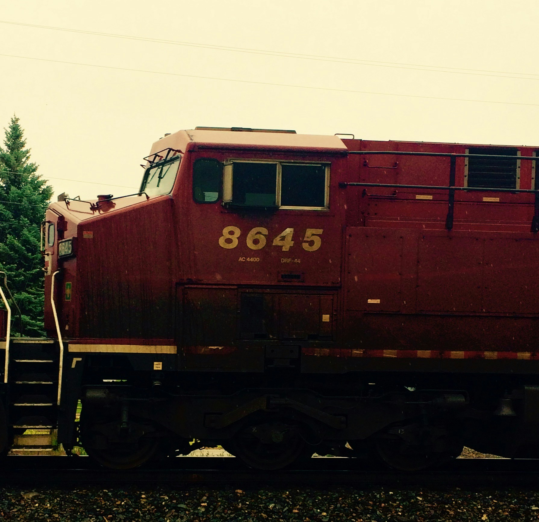 Free Unsplash photo from Carcar Binks