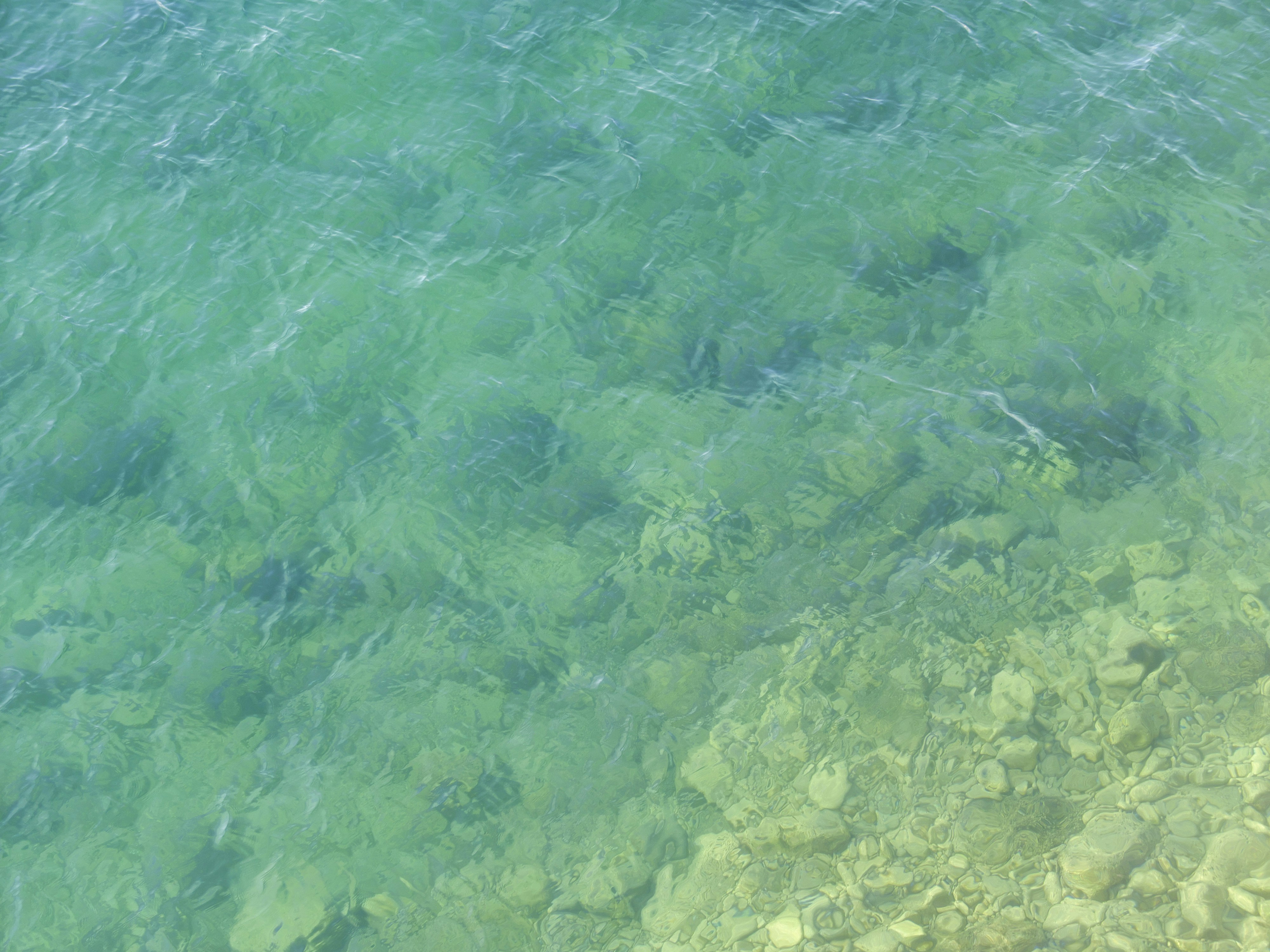 Free Unsplash photo from Miguel A. Amutio