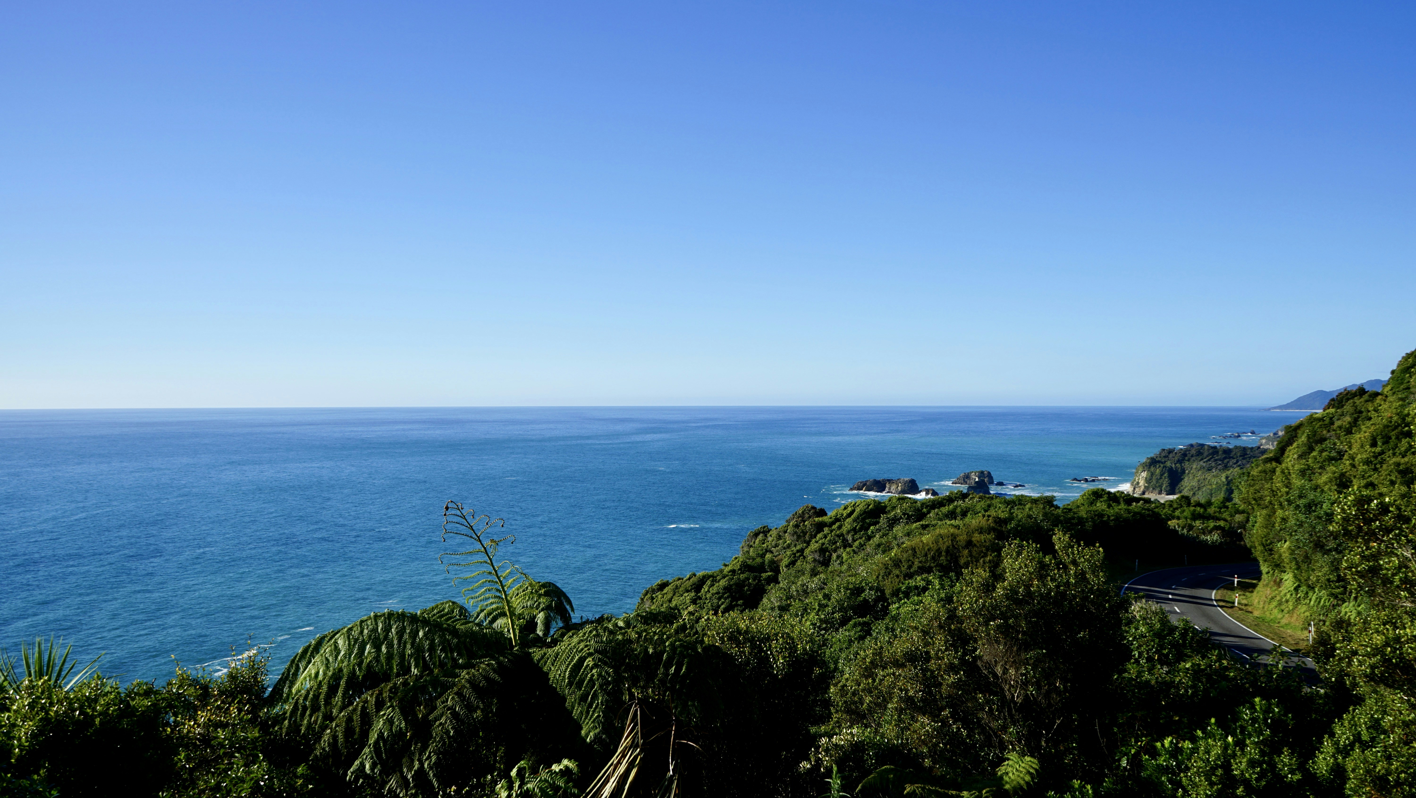 Lush green coastal Garden Route landscape with ocean view and winding road through forest