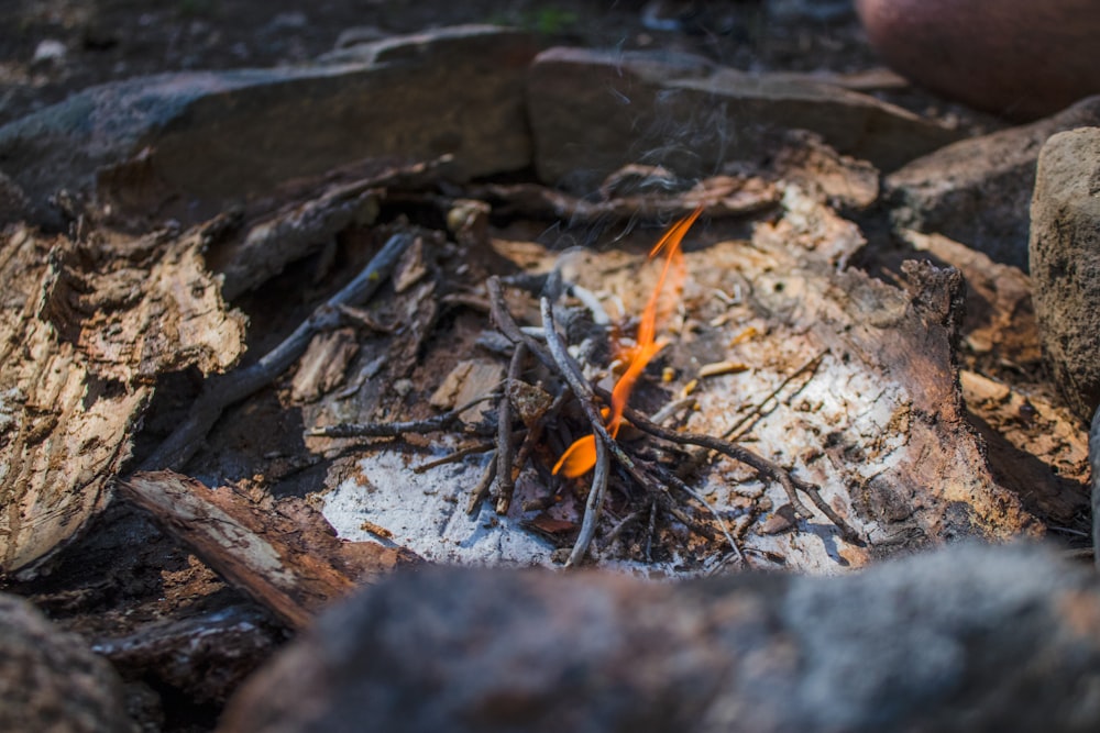 tilt shift photography of bonfire