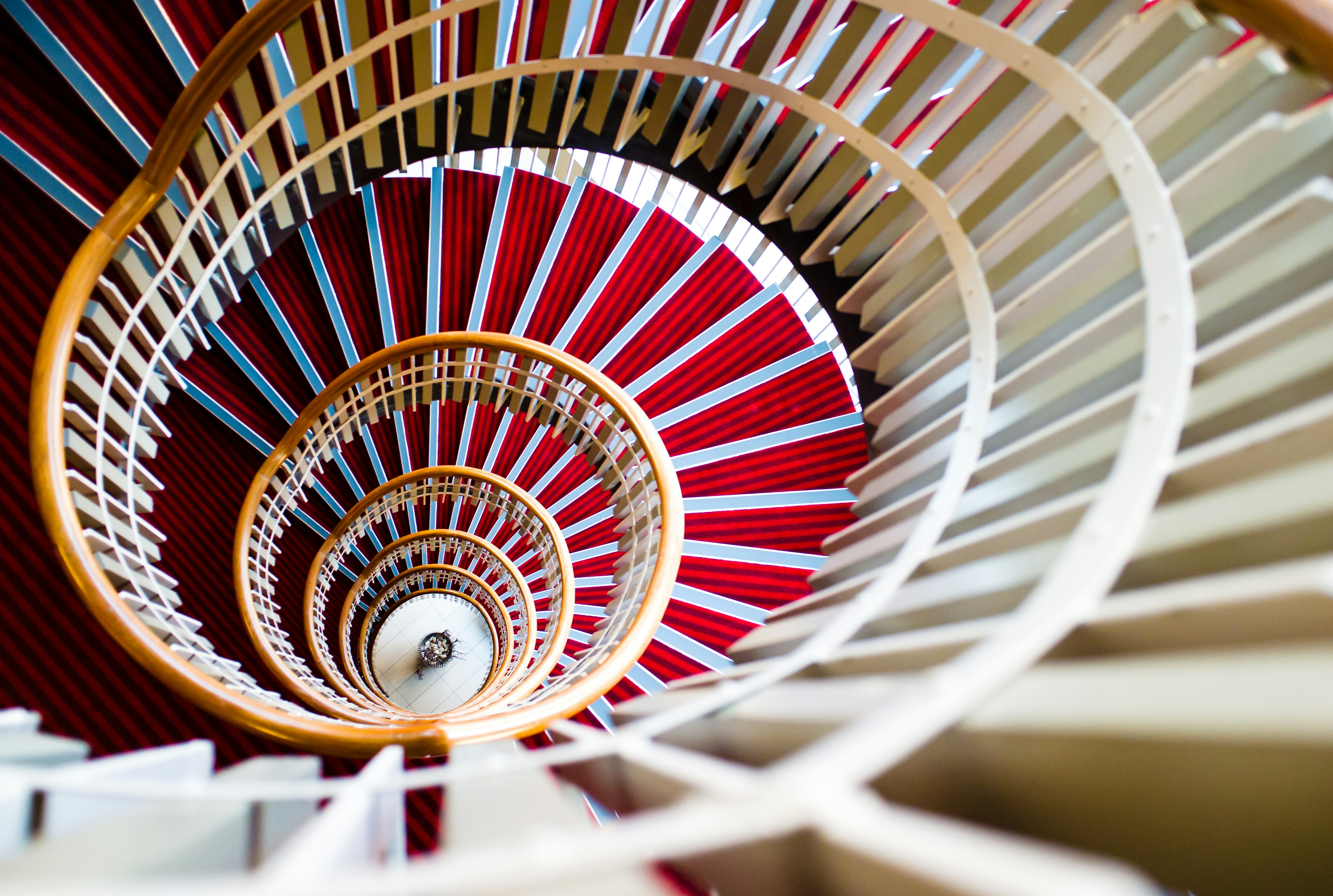 Free Unsplash photo from Nicola Zaghini