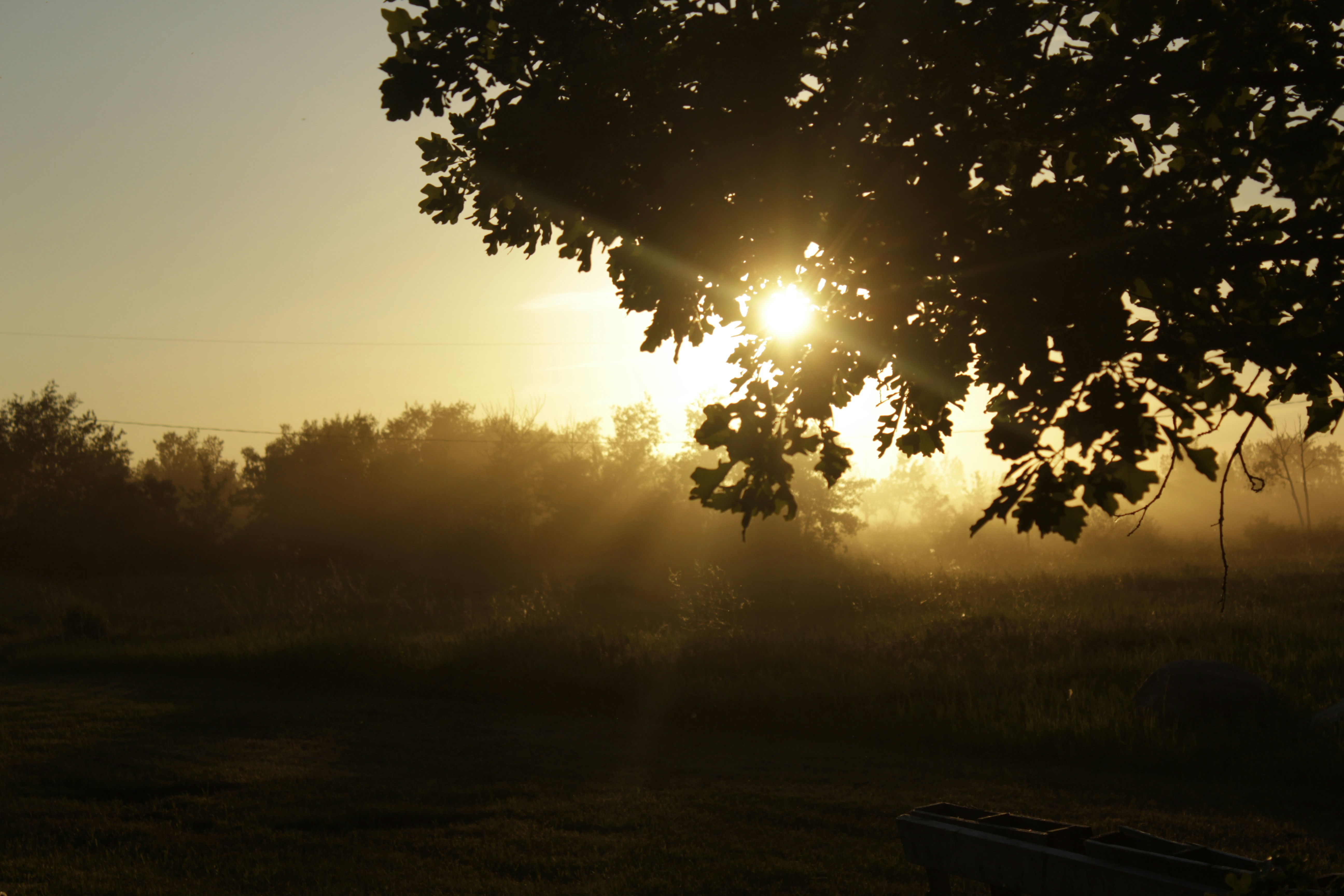 Free Unsplash photo from Ethan Esca