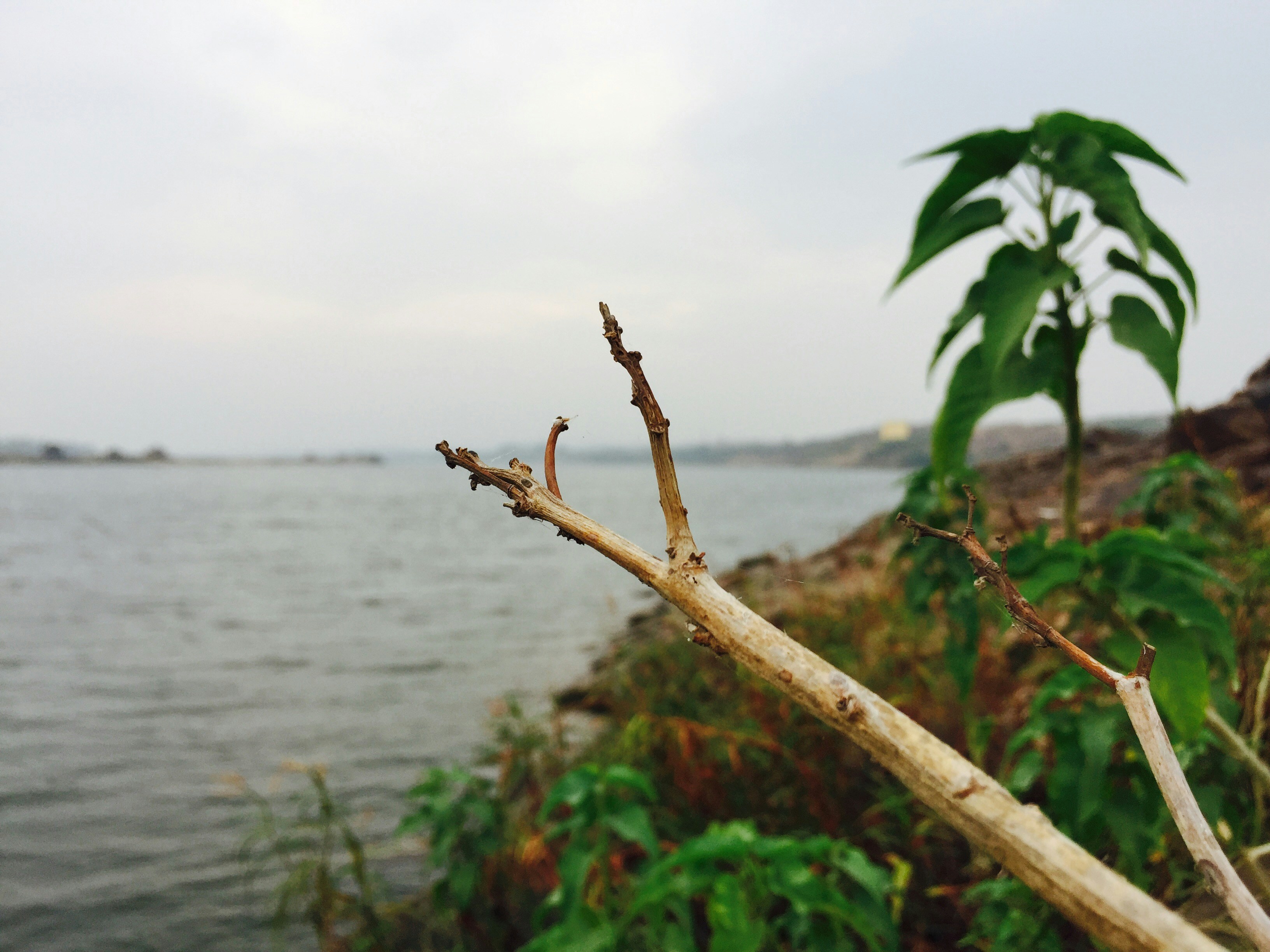 Free Unsplash photo from eswar pandiripalli