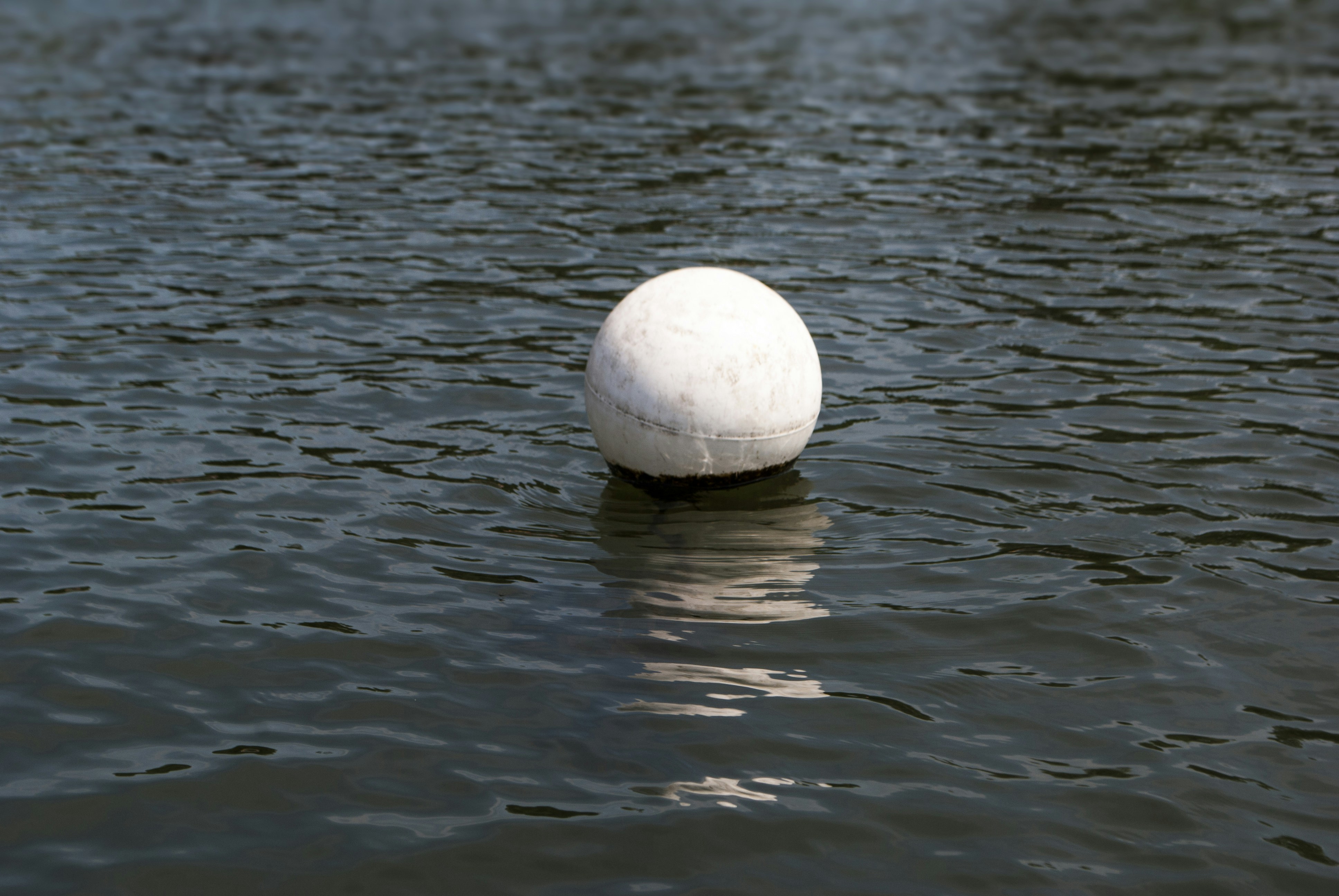 Free Unsplash photo from Neil Cooper