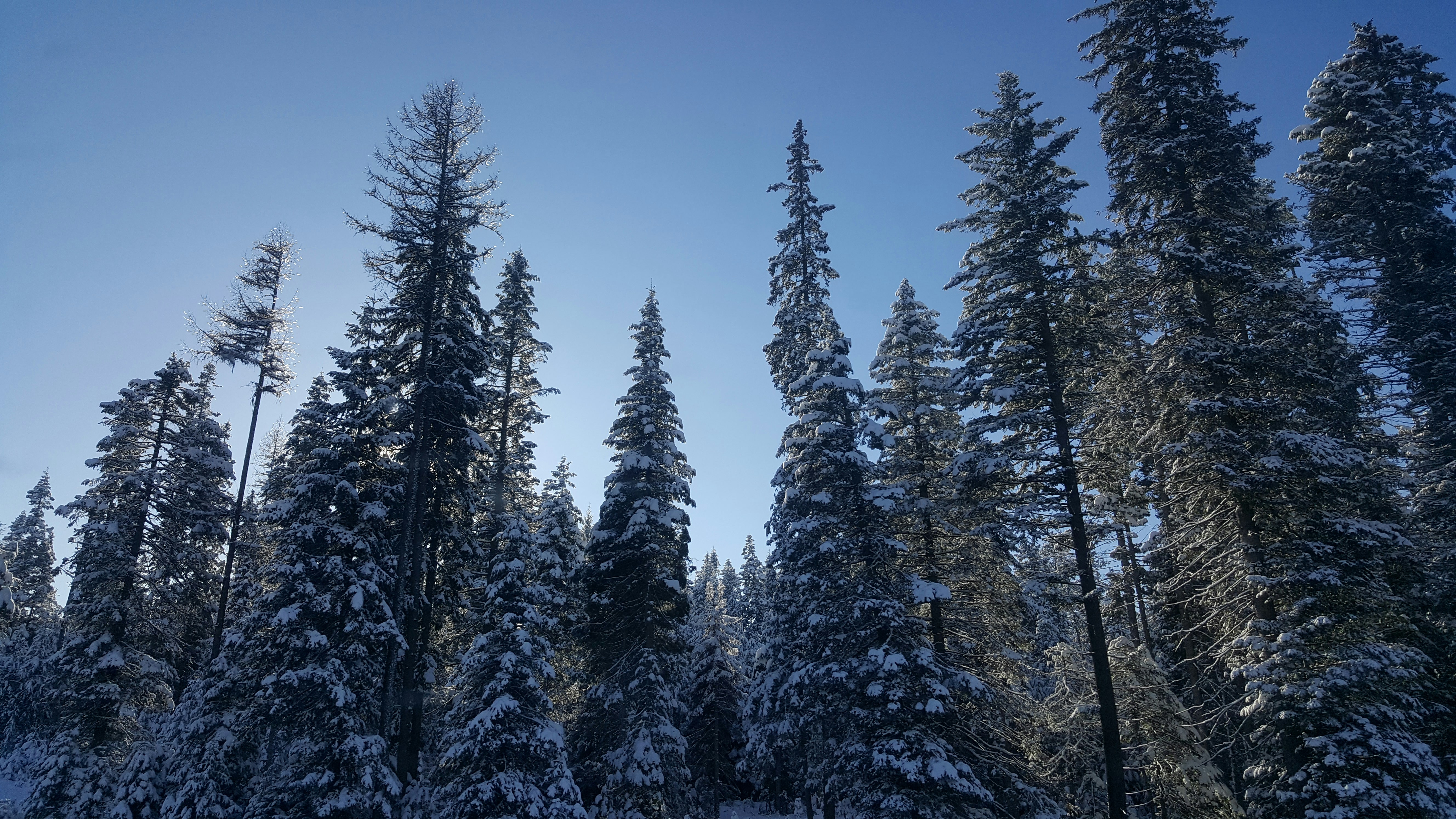 Free Unsplash photo from Marla Middleton