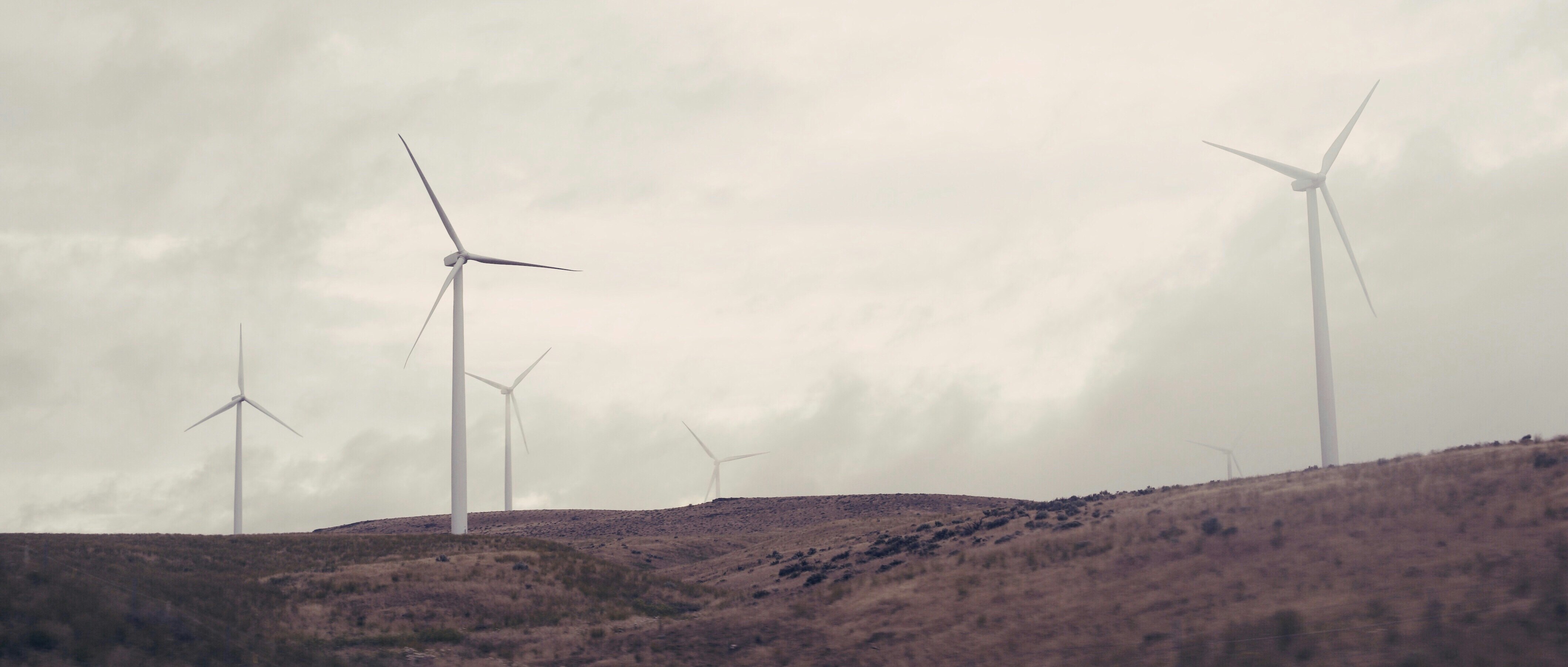 Free Unsplash photo from Max Delsid