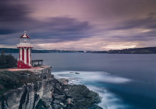 white and red lighthouse near body of water in Hornby Lighthouse Australia