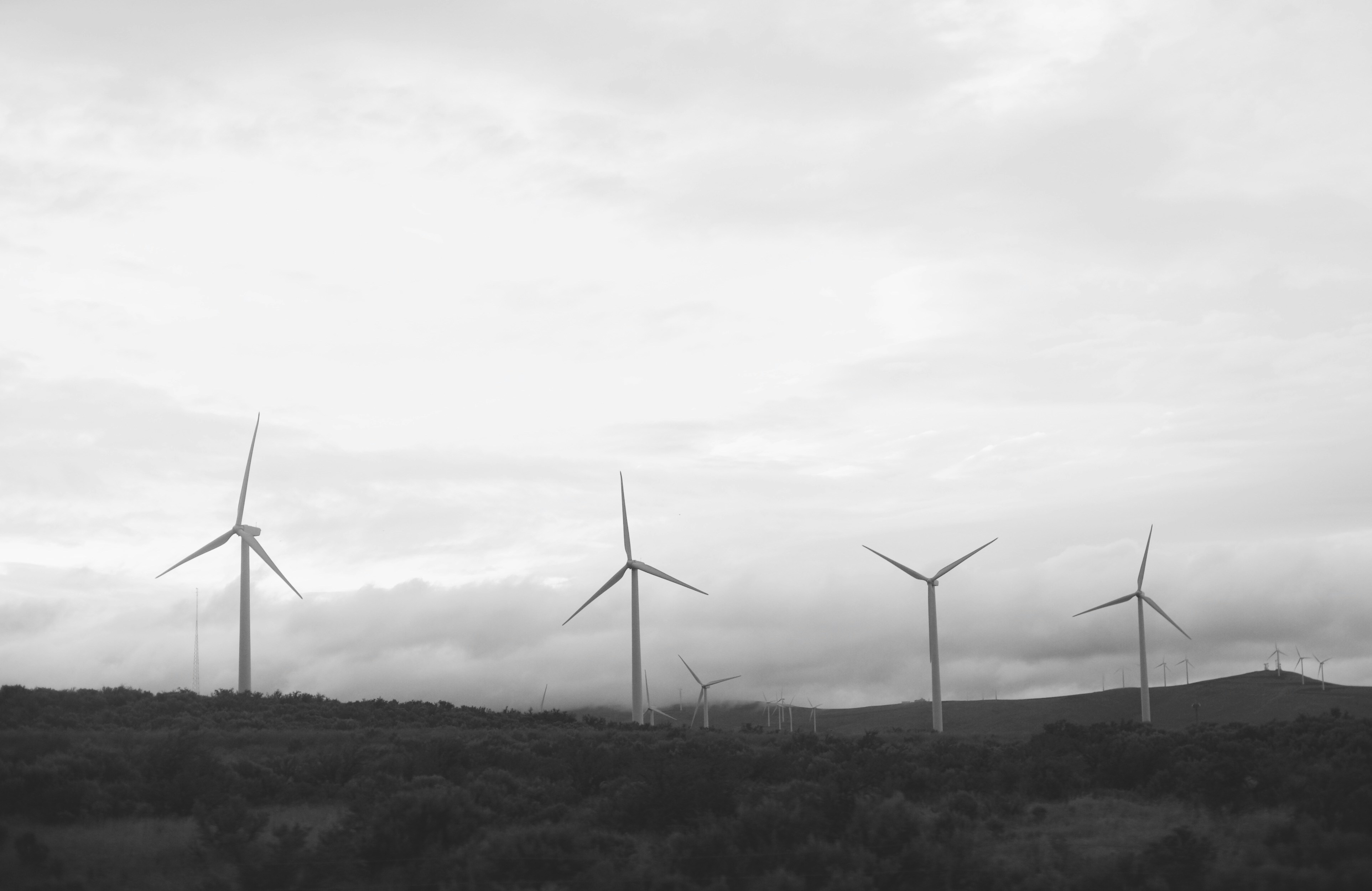 Free Unsplash photo from Max Delsid