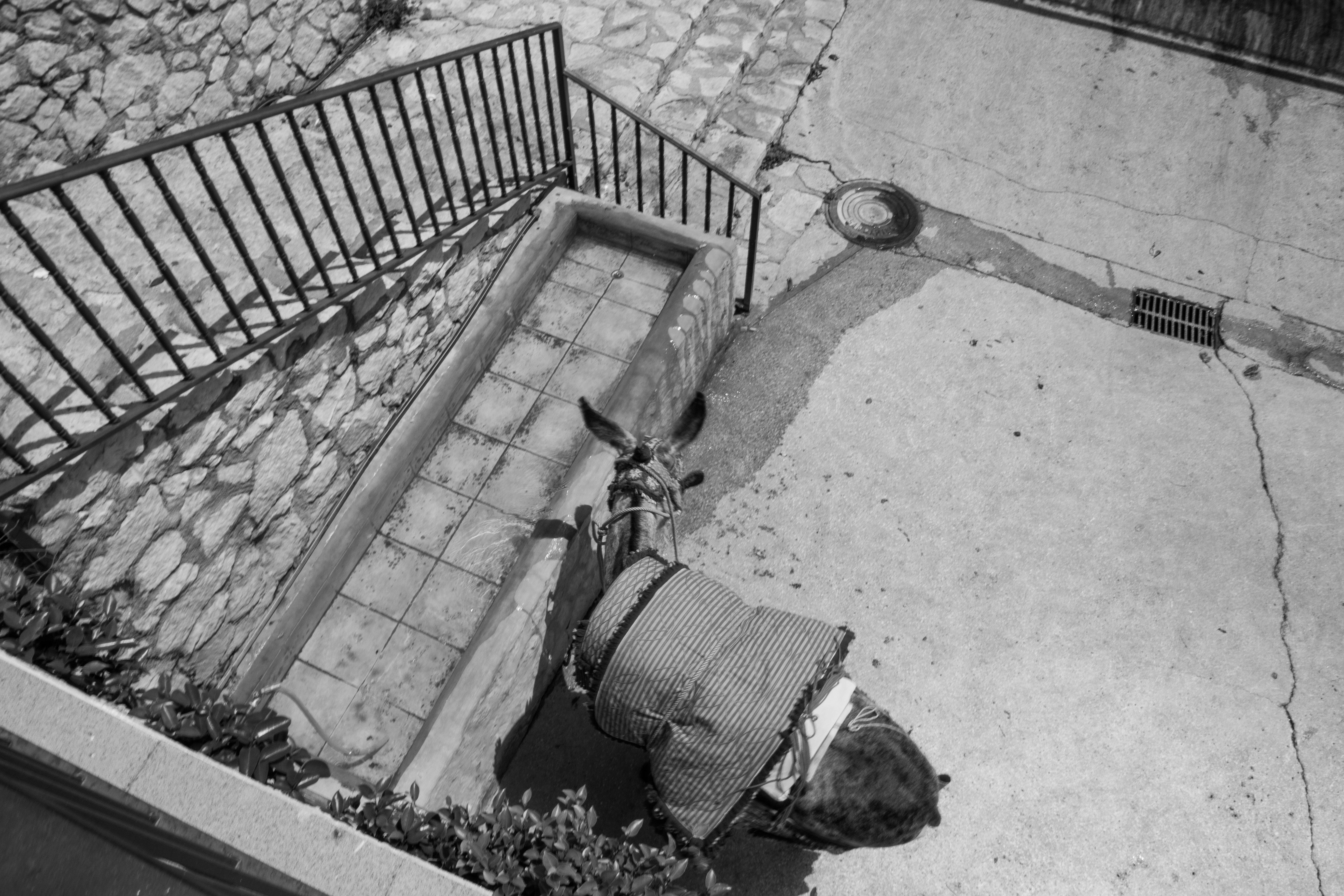 Free Unsplash photo from Marc Gustave