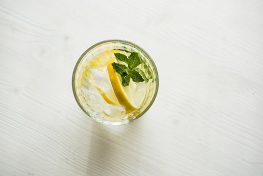 filled clear drinking glass with sliced citrus and green mint leaf