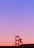 Close-up of a skateboarder mid-trick on a vibrant Sentra Skate deck at sunset.